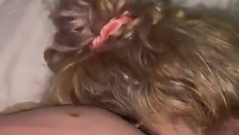 Apologize And Give A Blowjob To Your Partner